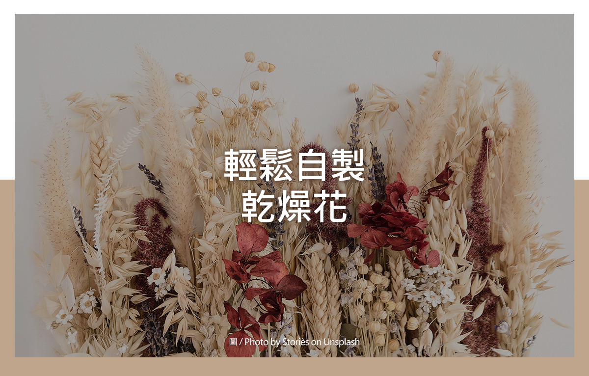 輕鬆自製乾燥花 Gw除濕機