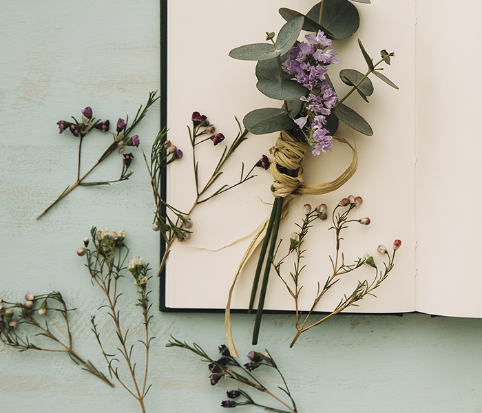 輕鬆自製乾燥花 Gw除濕機